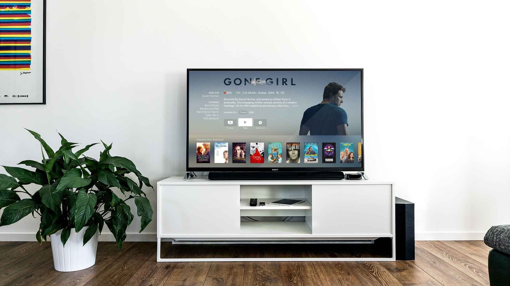 Television Streaming Netflix VOD Video on Demand 